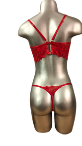 conjunto NOHA